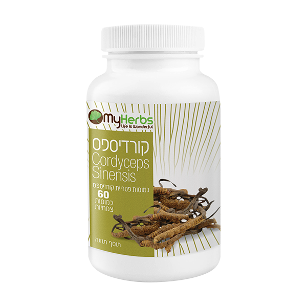 CORDYCEPS - Cordyceps